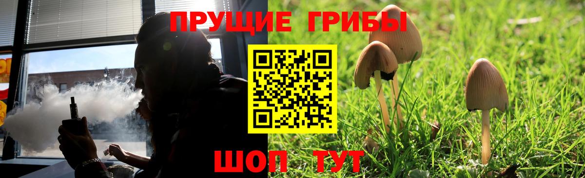 Ижевск  Псилоцибиновые грибы Psilocybe  Вход с VPN  Псилоцибиновые грибы ЛСД 